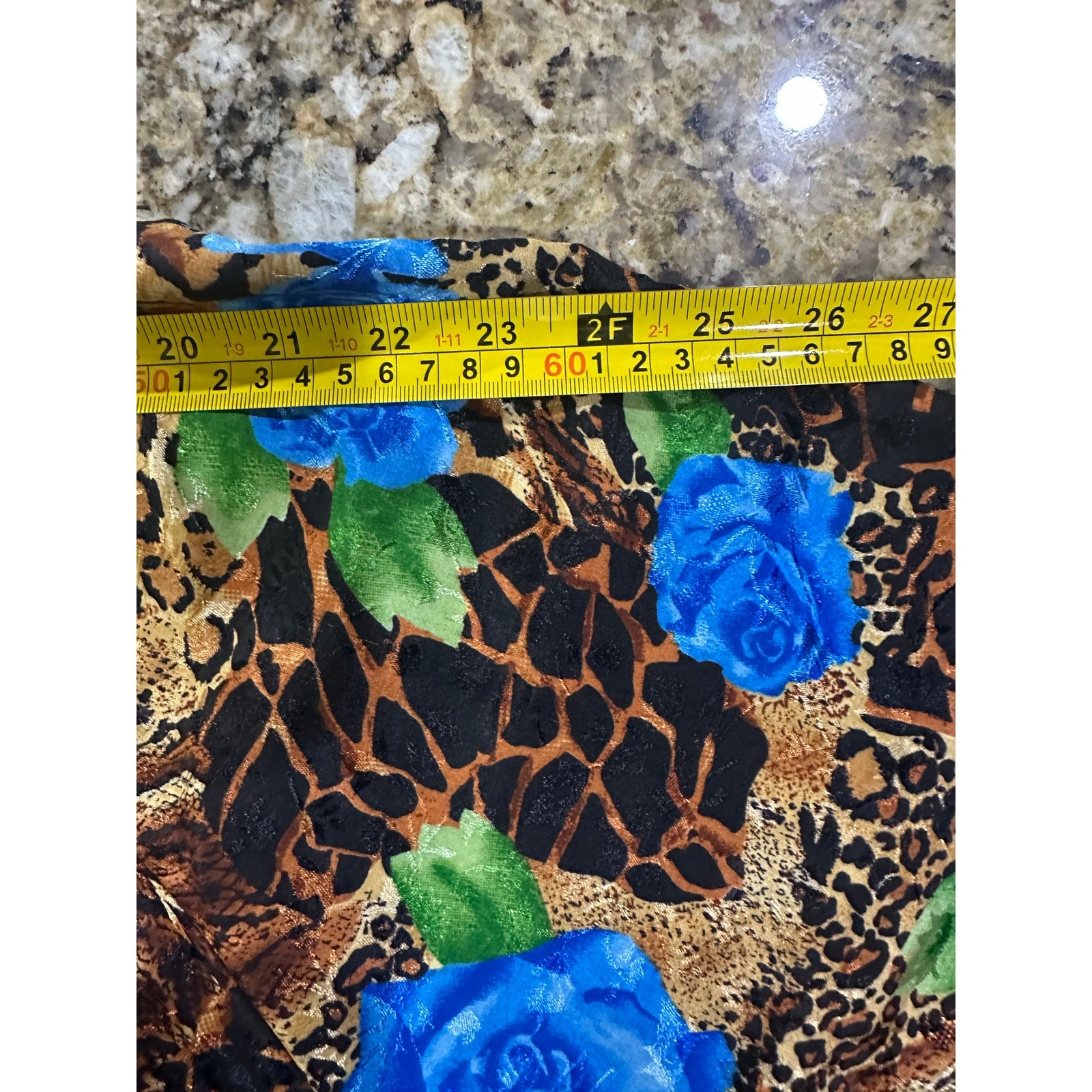 Picture 12 of 13