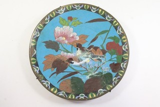 30 cm Teller Kupfer emailliert Cloisonné Meiji Japan um 1900 (IG262)