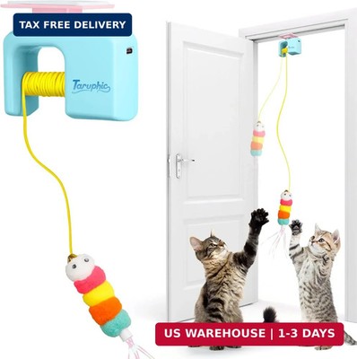 Interactive Cat Toy for Indoor Cat, Automatic Door Hanging Cat Toy with Detachab