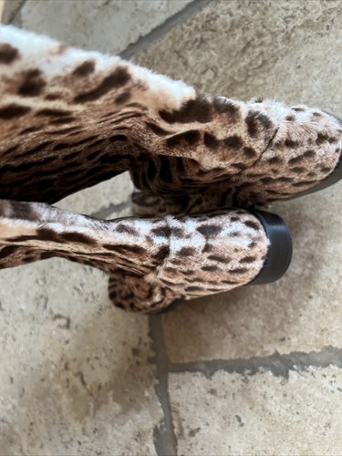 Stivali OTK Stuart Weitzman Backup 5 peli di polpaccio stampa animale sul ginocchio nuovi senza etichette - Foto 15 di 15