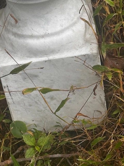 Anitque White Marble Balster/Spindle from a Railing.36" - Image 3 of 4