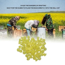 100PCS Queen Bee Rearing Cup Plastic Vivid Color Beekeeping Bee Cell Cup