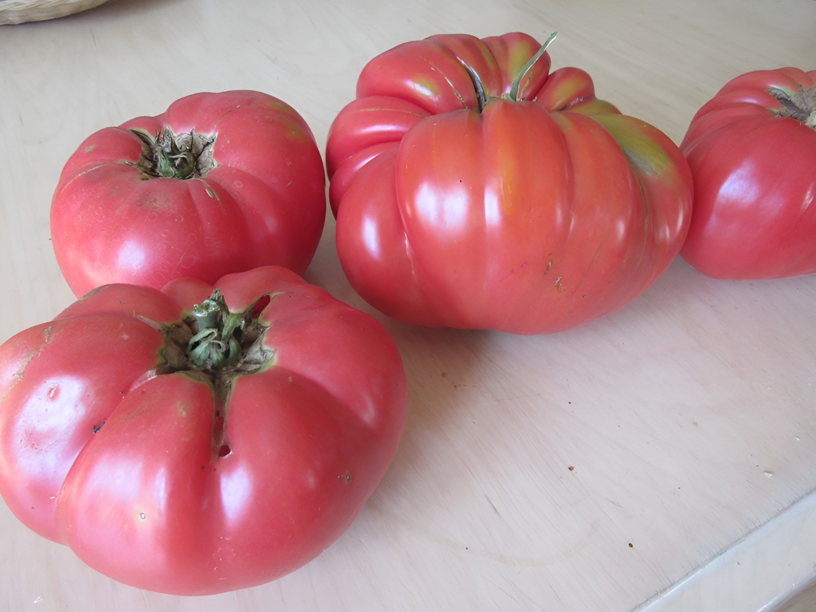 100 Heirloom Pruden's Purple Tomato Seeds 1 LB Sweet Pink-Purple Indeterminate