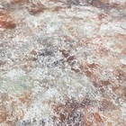 Bild 4 von 8