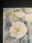 White Cosmos watercolor painting  — photo 2