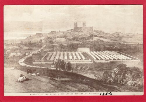 Royal Agricultural Society Meeting Lincoln 1854 RP pc 1907 W J Smith  AL160 - Picture 1 of 2
