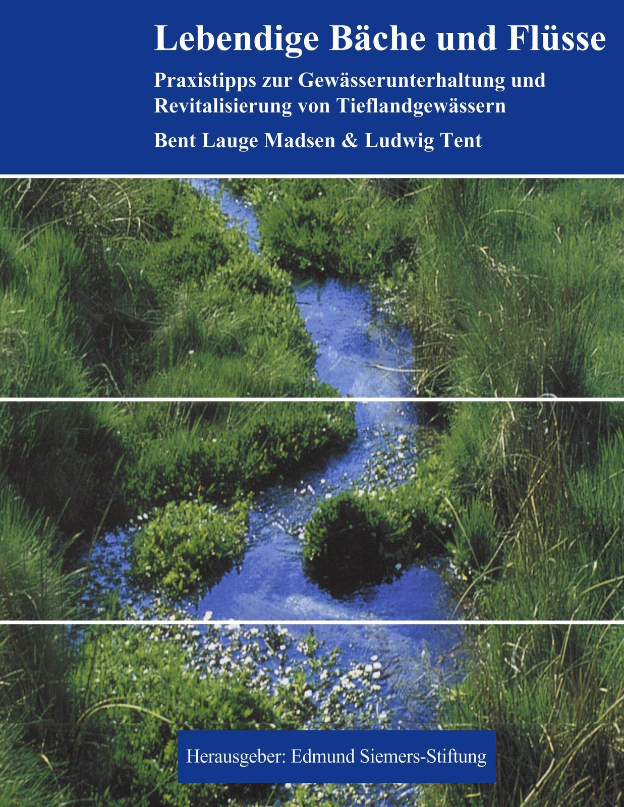 Thumbnail - Lebendige Bäche Und Flüsse | Ludwig Tent | Taschenbuch | Paperback |