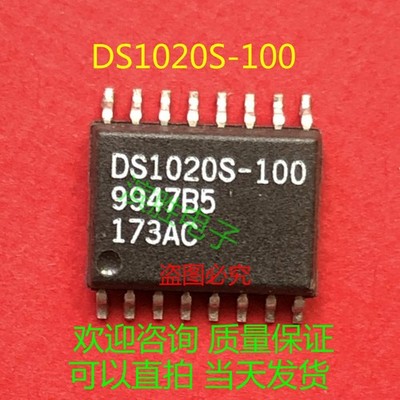 Quantity-1 DALLAS DS1020S-100 Integrated Circuit New  *tn
