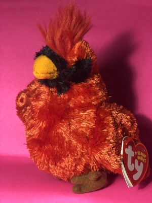 red bird beanie baby