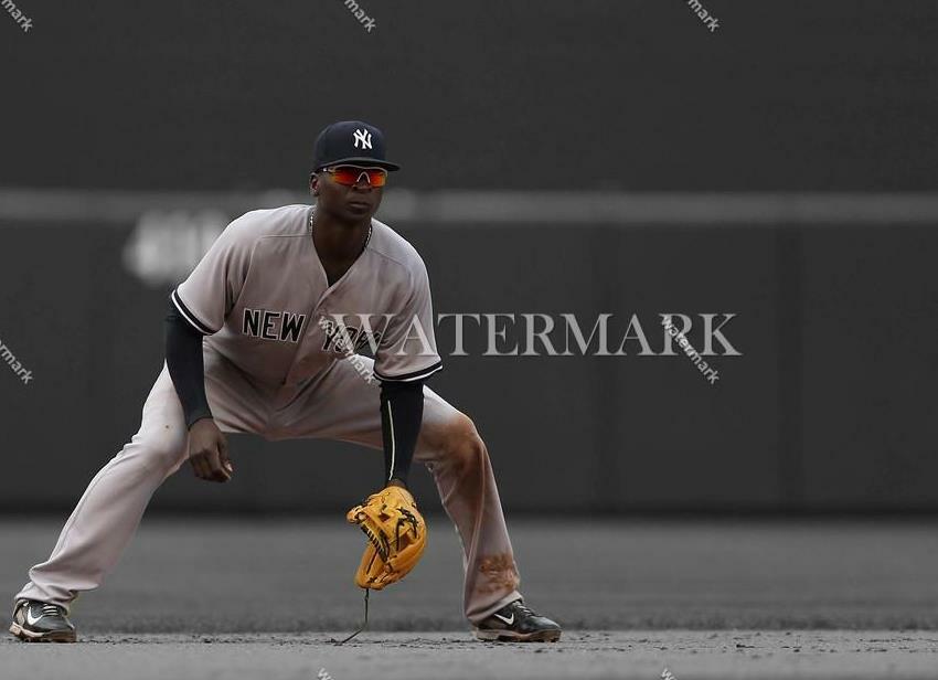CS44 Didi Gregorius New York Yankees Baseball 8x10 11x14 16x20 Spotlight Photo