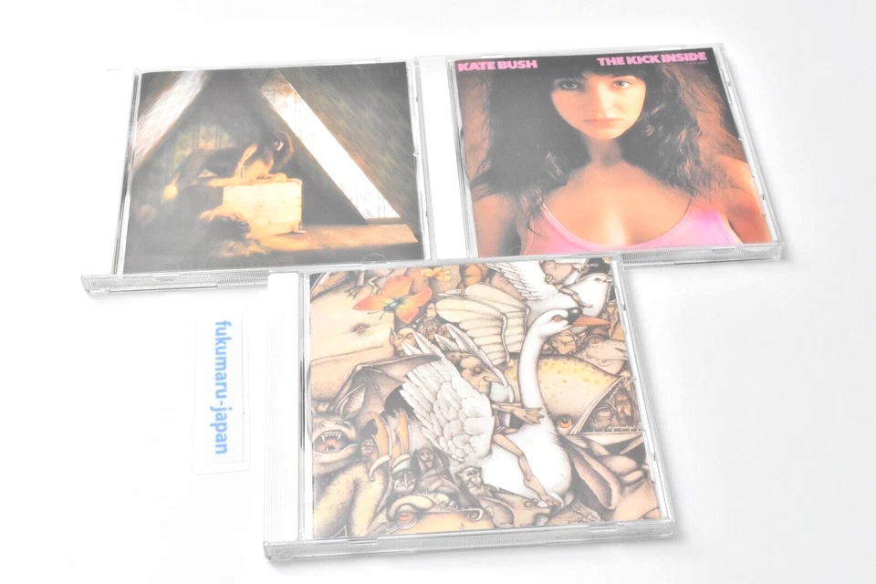 Kate Bush This Woman's Work Anthology 1978-1990 8CD Box Japan W/booklet - Image 4 of 4