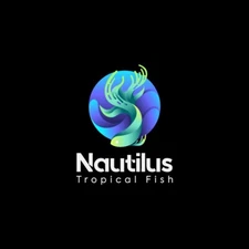 shipping replacement