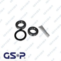 GSP GK1915 Radlagersatz Radlager Satz Vorderachse Vorne