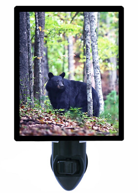 Bear Decorative Photo Night Light, Black Bear, Wildlife