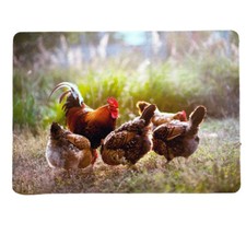 Traumduft Dekoset Tischset Platzdeckchen Platzset Marijo waschbar 40 x 30 cm