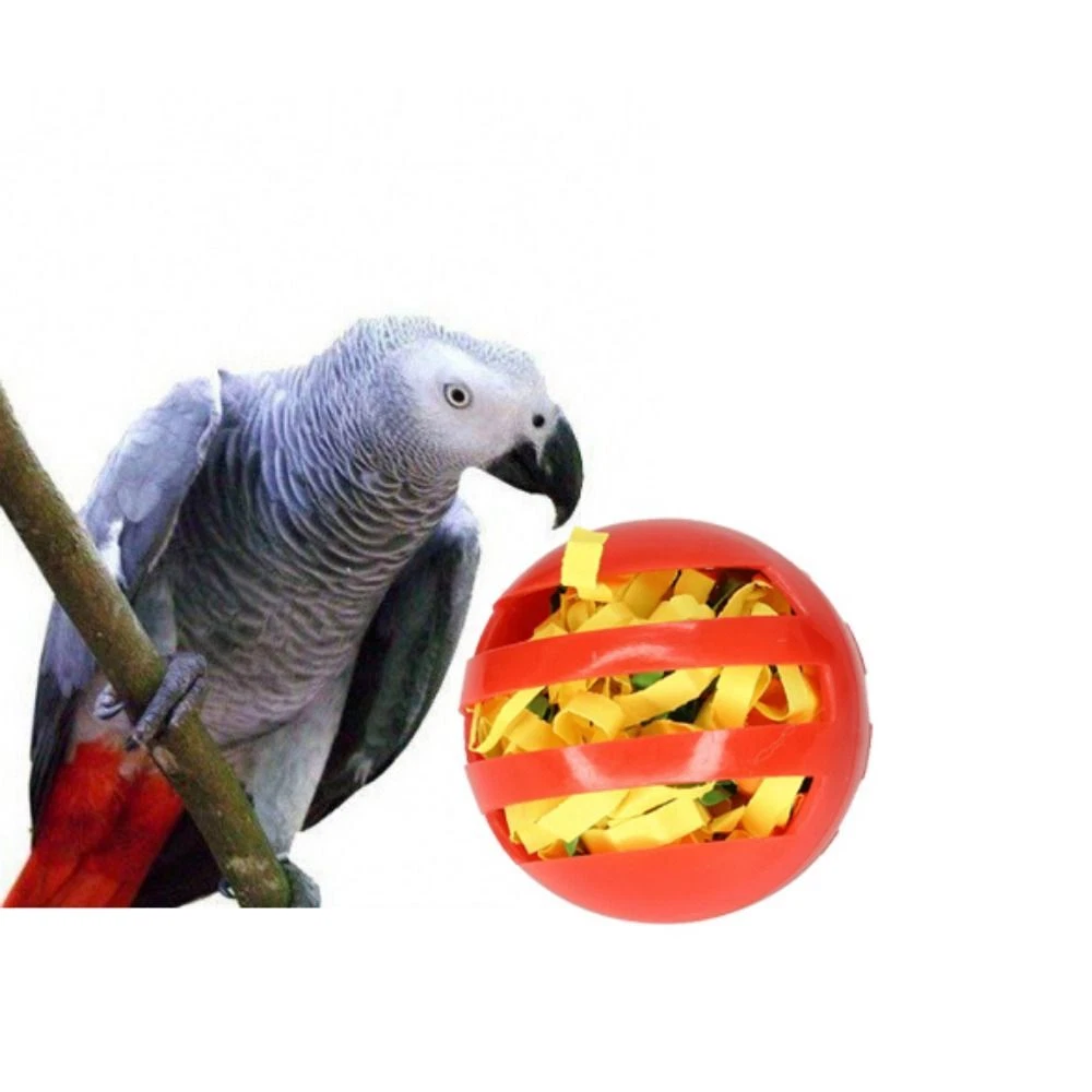 Birds playing toys cheap