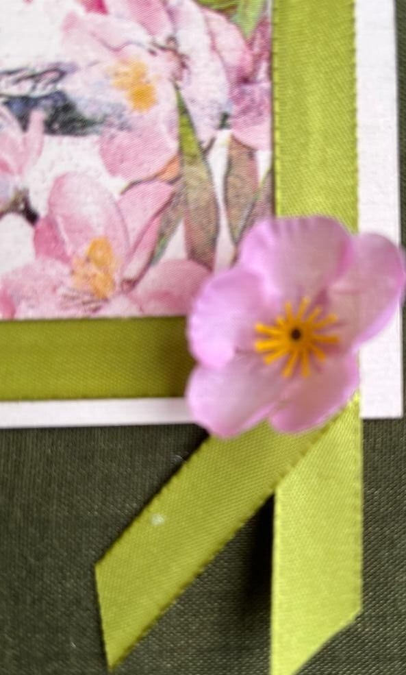 Bild 4 von 5