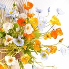 Bild 12 von 33