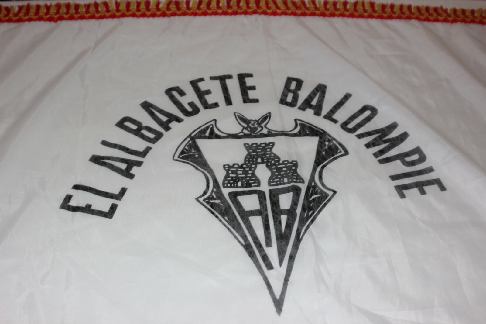Imagen 2 de 2