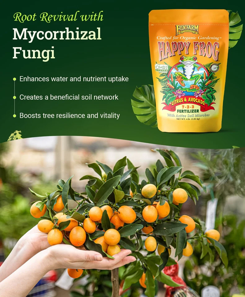 4 lb Organic Citrus Avocado Fertilizer for Lemon Orange Trees NPK 7 3 3 - Image 4 of 4