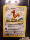 Pokémon TCG Pidgeotto 022/102 Base Set Shadowless 1st Edition Card