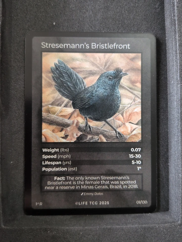 Life TCG Birds 1 Edition Stresemann's Bristlefront Non Holo Rare 01/130