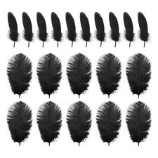 10 Morceaux De Plumes
