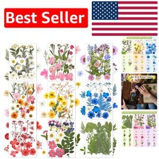 167 Pcs Vibrant Real Dried Pressed Flowers   Perfect for Your DIY Creations