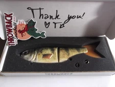 Throwback Baits Swimbait Co. Metro Glide Bait HD Perch Limited