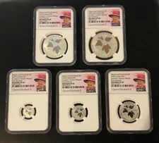 2024 QUEEN ELIZ.CANADA SILVER NGC PF69 MAPLE LEAF W/GOLD FR $1,$2,$3,$4,$5, SET!