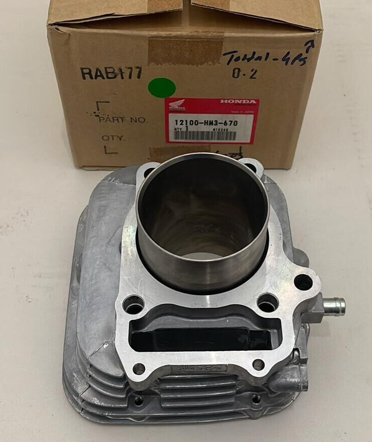 1993-1998 Honda TRX300EX Fourtrax OEM CYLINDER # 12100-HM3-670 ATV