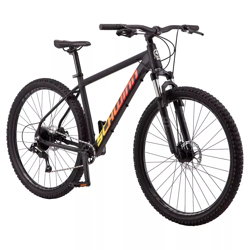 SCHWINN 29