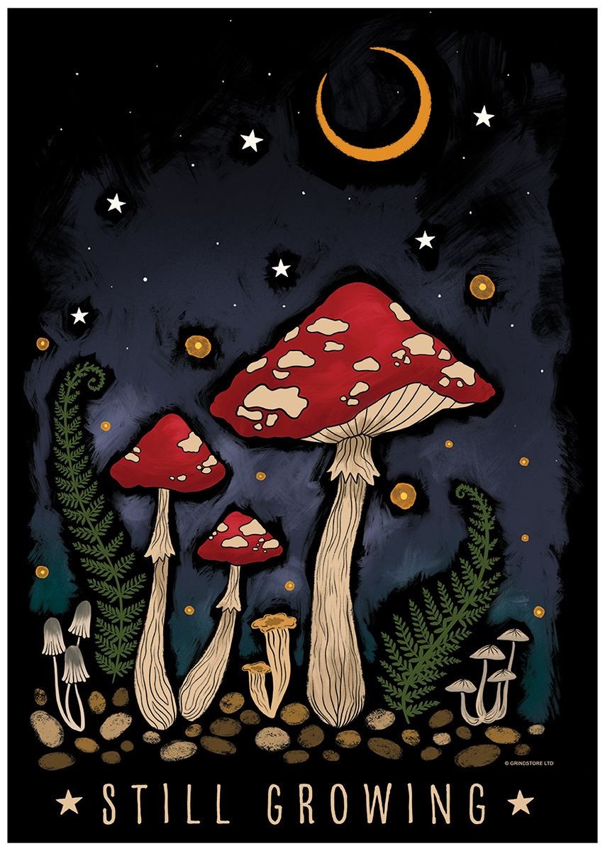 Laminated Magical Mushrooms Still Growing Mini Poster