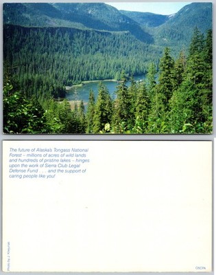 Tongass National Forest Lake View Postcard