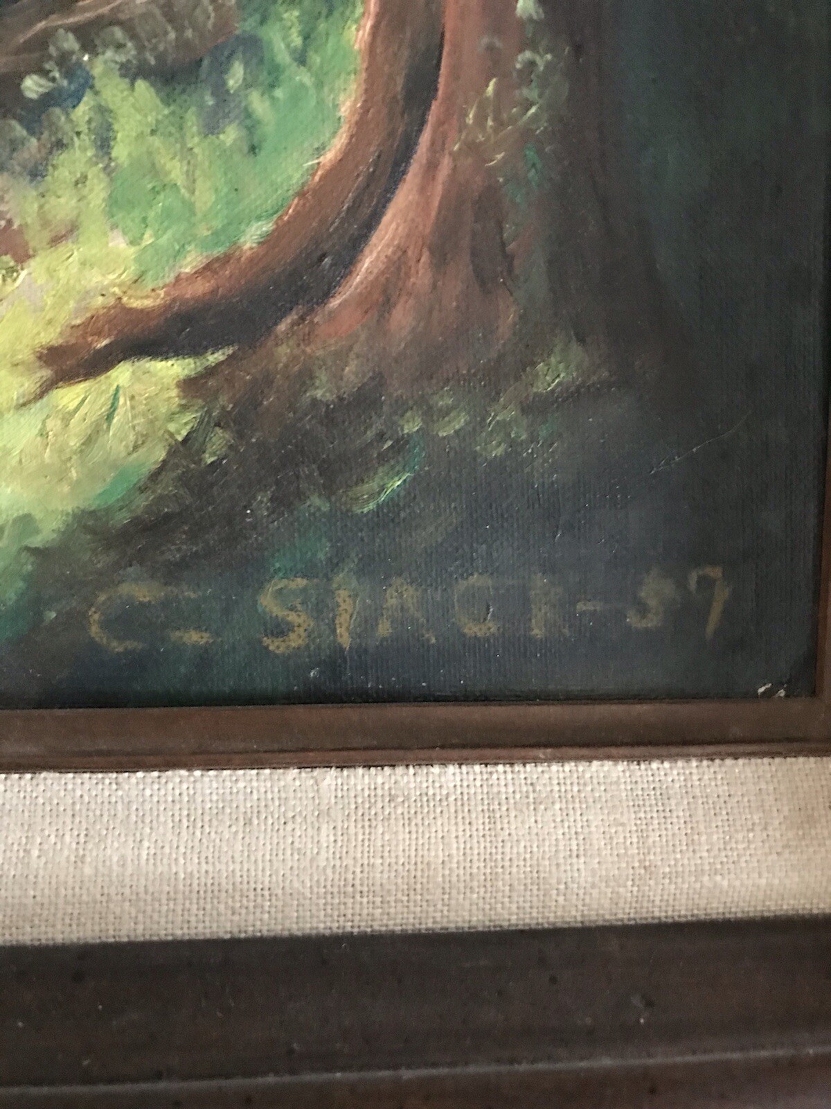 Picture 6 of 11