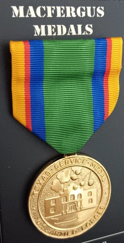 Texas Federal Service Medal - GOLD PLATED - NEW