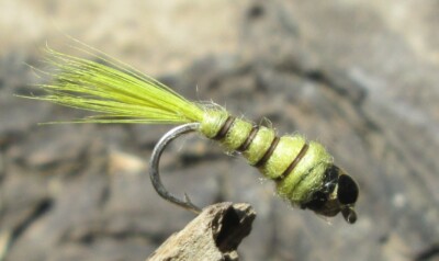 Gilchrist Fliegen. 3 x GOLDEN OLIVE NYMPHEN mit Messing oder Tungsten Kopfperlen