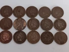Lot Of 15 Indian Head Pennies
