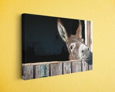 Funny Donkey Canvas Print Farmhouse Animal Wall Art for Rustic Country Decor