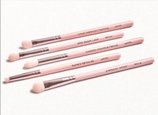 MOTD Cosmetics New Pink Handles In A Blush Blending 5 Piece Eye Brush Set