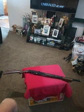 1958 Daisy Model 25 Pump BB Gun ROGERS, ARKANSAS dove hunter Vintage Read