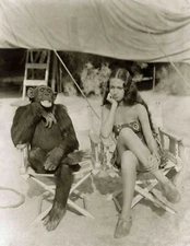 Circus, Clown, Carnivals, Posters, vintage 4" x 6" photo reprint Quality 134