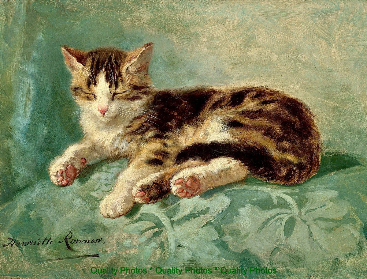 henriette ronner products for sale | eBay