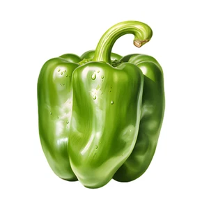 Pepper Vegetable Self Adhesive Waterproof Sticker
