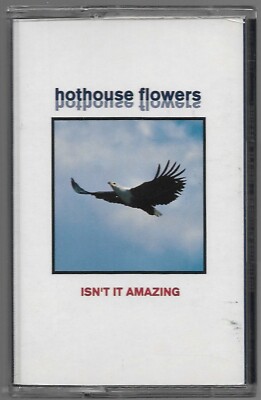 Hothouse Flowers Isn't It Amazing CASSETTE SINGLE ROCK Pop Rock