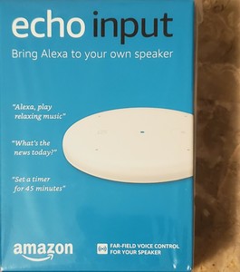 echo input ebay