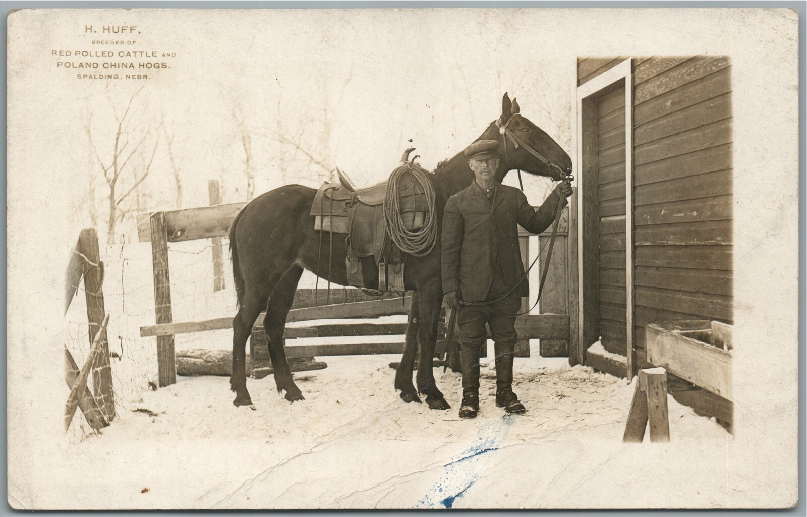 SPALDING NE BREEDER OF CATTLE POLAND CHINA HOGS ANTIQUE REAL PHOTO POSTCARD RPPC eBay