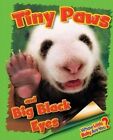 Tiny Paws and Big Black Eyes (Giant Panda) by Ellen Lawrence (Hardback, 2015)