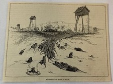1886 magazine engraving ~ MIGRATION OF RATS IN SIAM
