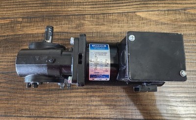 LEESON M1135040.00 DC Gearmotor 90V 1/8HP 250 RPM 25 Lb-In CM34D25NZ8C NIB-Style